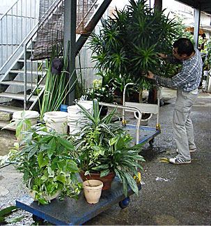 グリーンメンテナンス 福岡 精華園 グリーンメンテナンス 福岡 精華園