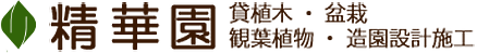 福岡のグリーンリース　精華園